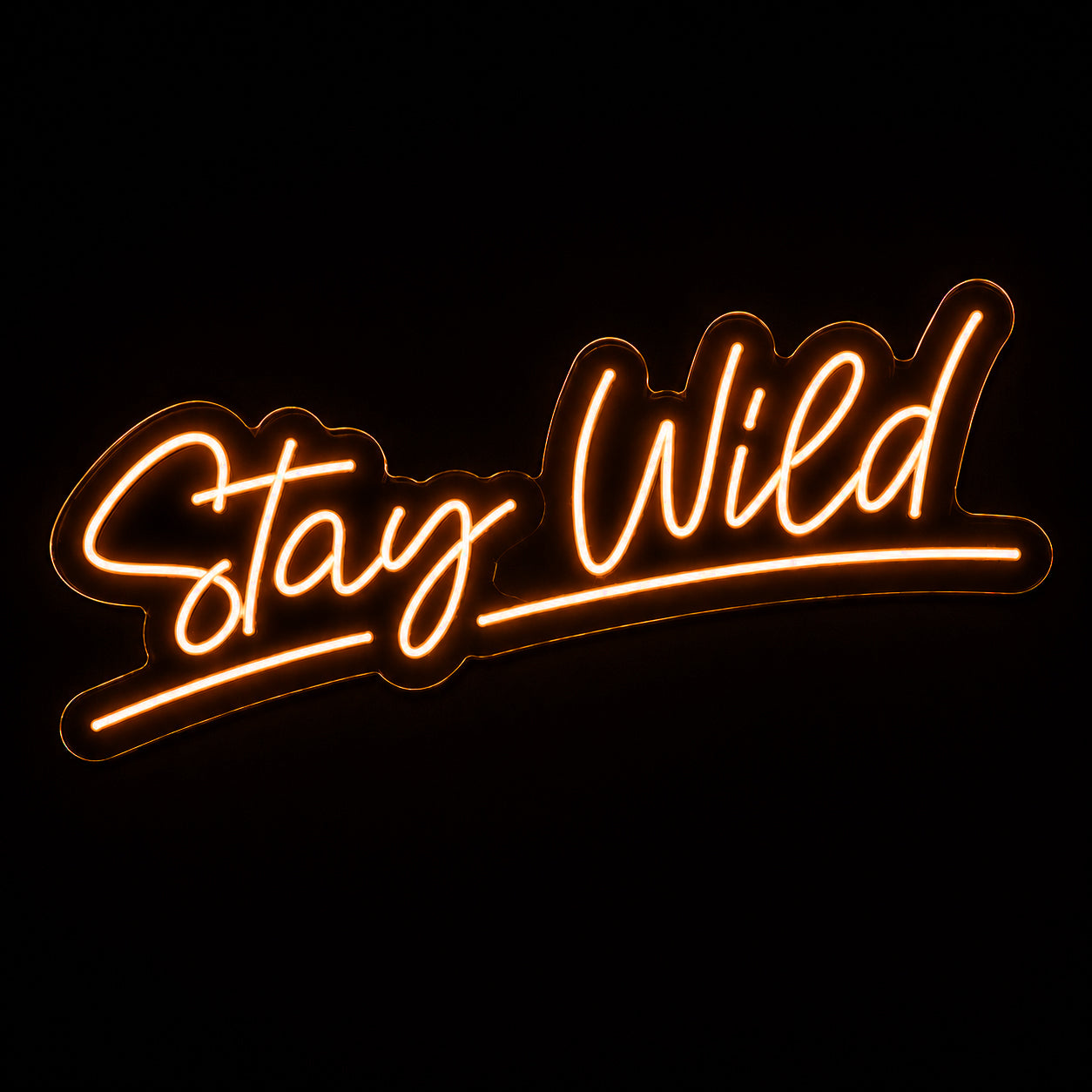 Stay Wild