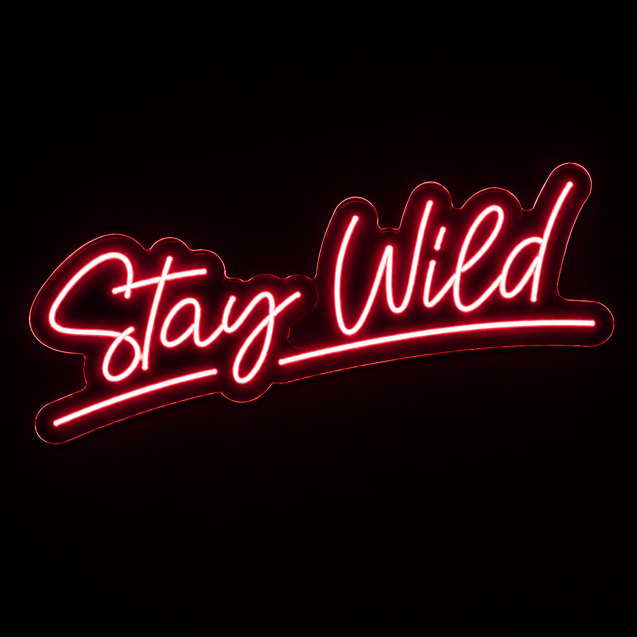 Stay Wild